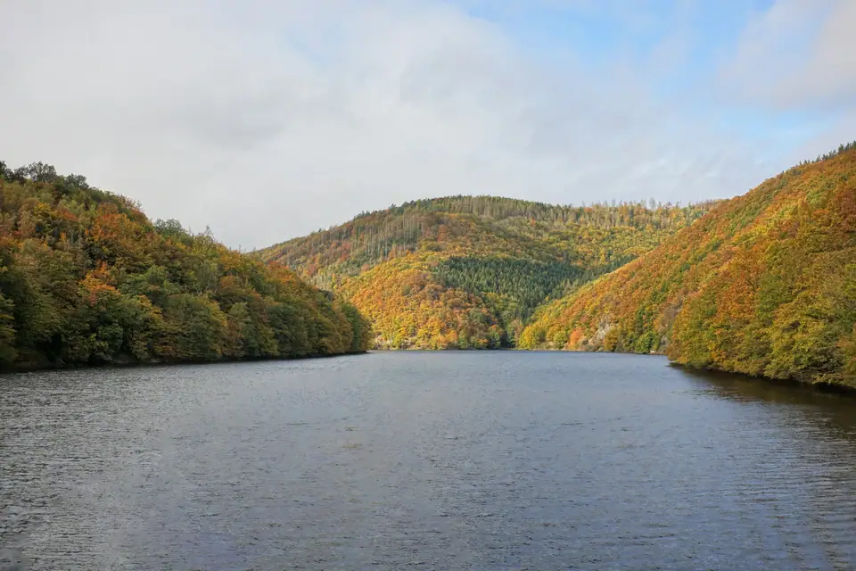 Blick über den Obersee bei Rurberg auf herbstlich gefärbte Waldhänge in der Eifel